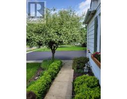 14 ALBERT STREET - 4