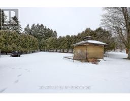 83 FREDERICK STREET - 31