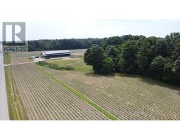 49975 VIENNA LINE - 2