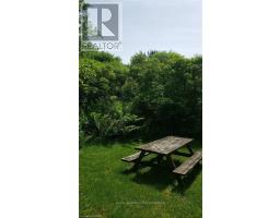 334319 ROSSLAND LINE - 24