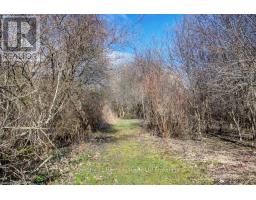334319 ROSSLAND LINE - 25