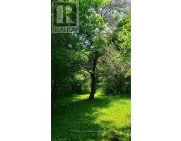 334319 ROSSLAND LINE - 35