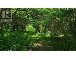 334319 ROSSLAND LINE - 36
