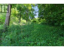 584572 BEACHVILLE ROAD - 41