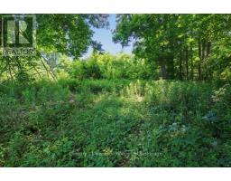 584572 BEACHVILLE ROAD - 42