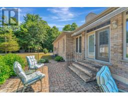 97 VANDERHOEVEN SIDE ROAD - 39