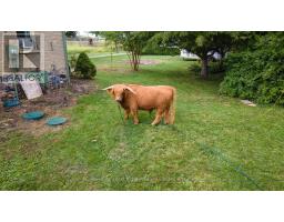 69830 GRAND BEND LINE - 6