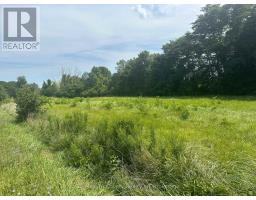 PT LT 3 LAKESHORE ROAD - 5