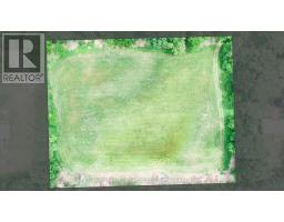 30101 PETER ROAD - 12