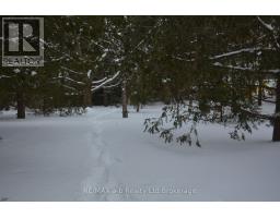 146 WHITING STREET - 10