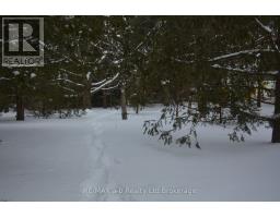 146 WHITING STREET - 11