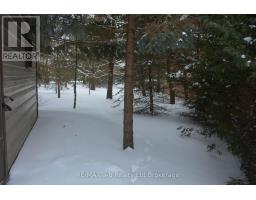 146 WHITING STREET - 6