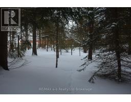 146 WHITING STREET - 7