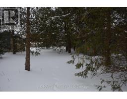 146 WHITING STREET - 9