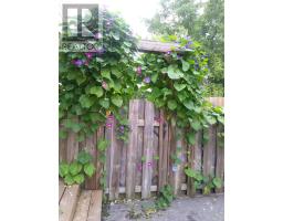 1091 CANFIELD CRESCENT - 35