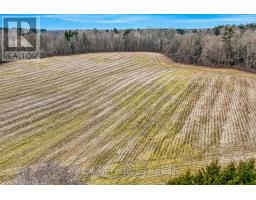 925 BELL MILL SIDE ROAD - 37