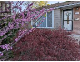 293 CLARKE STREET N - 5