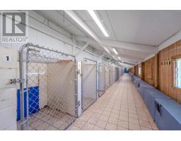 226 CARLUKE ROAD E - 36
