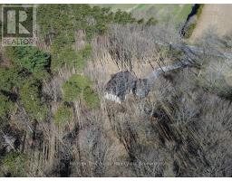 1498 12TH CONCESSION ROAD - 44