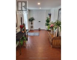 9 NELSON STREET - 4
