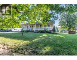 11918 MCINTOSH STREET - 3