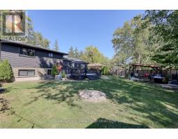 45 CARMAN STREET - 36