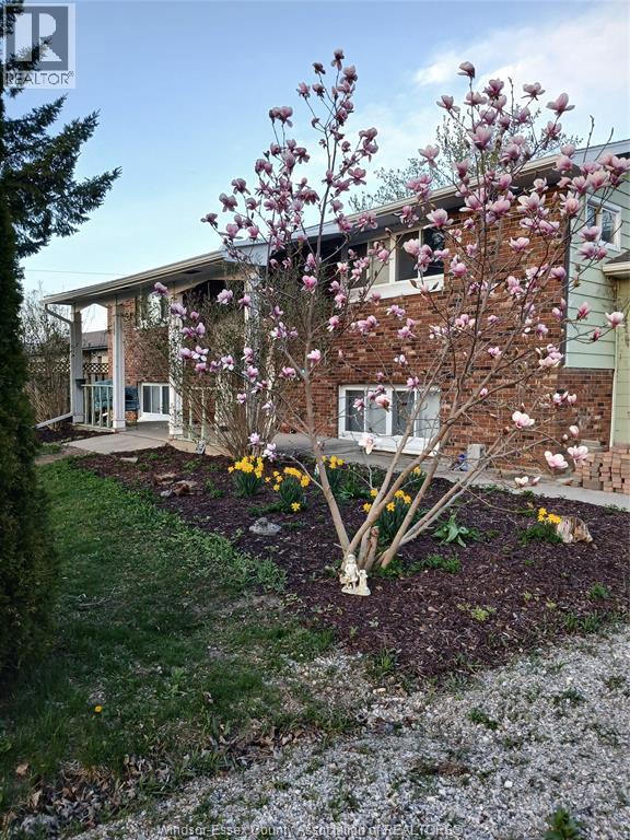 8 STORY STREET, Blenheim