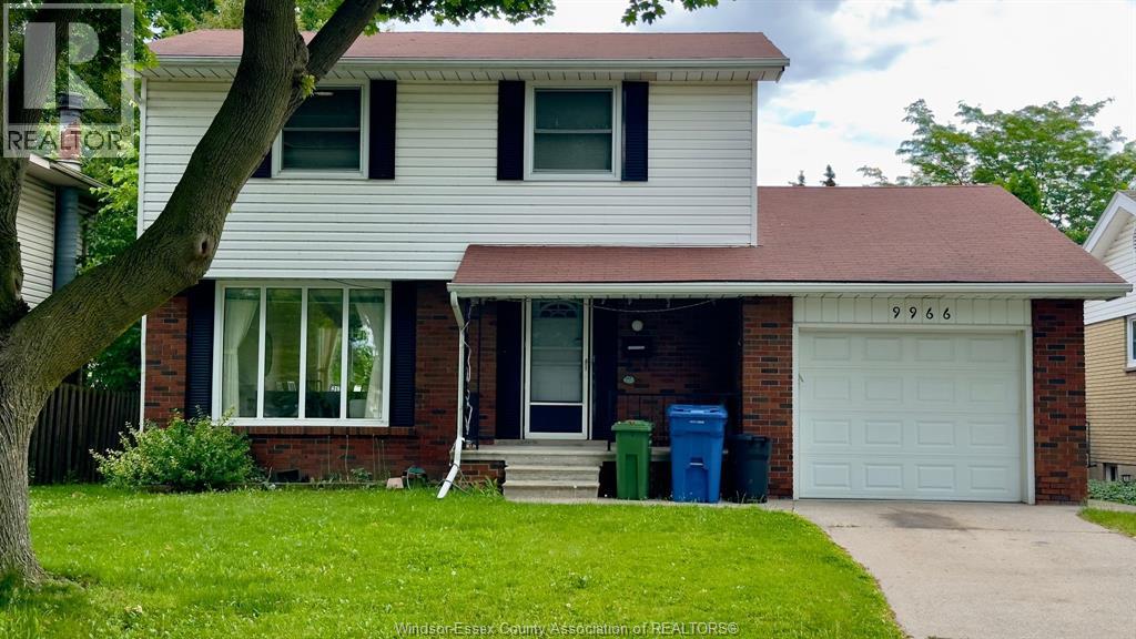 9966 ASGARD, Windsor