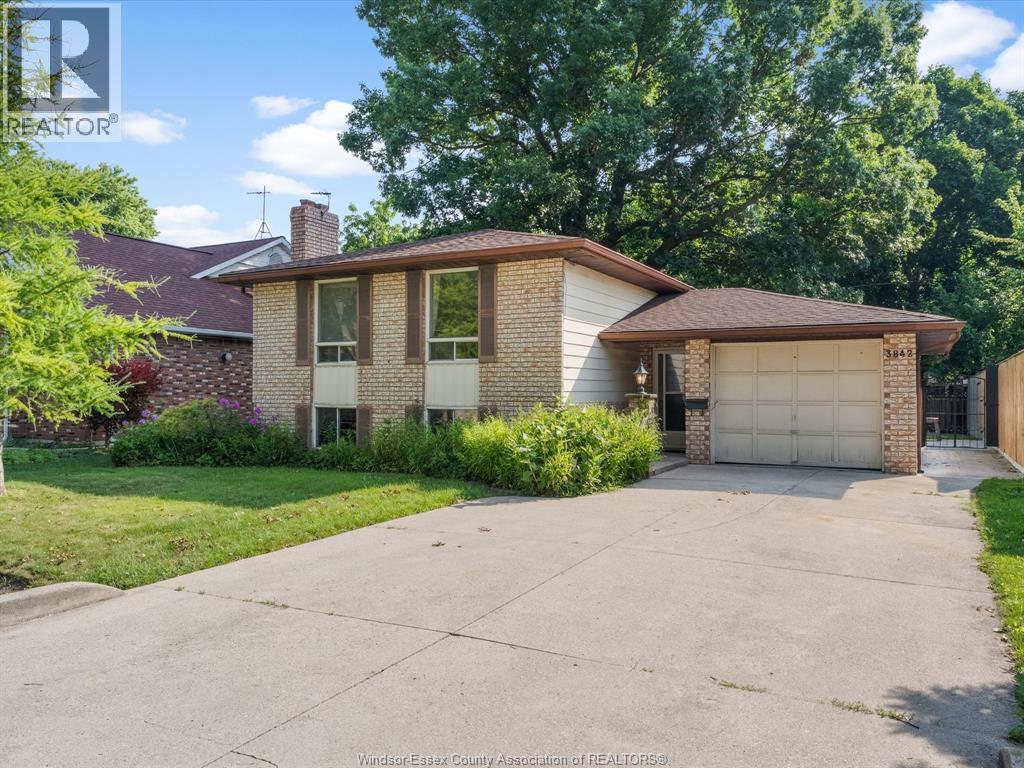 3842 BLISS, Windsor