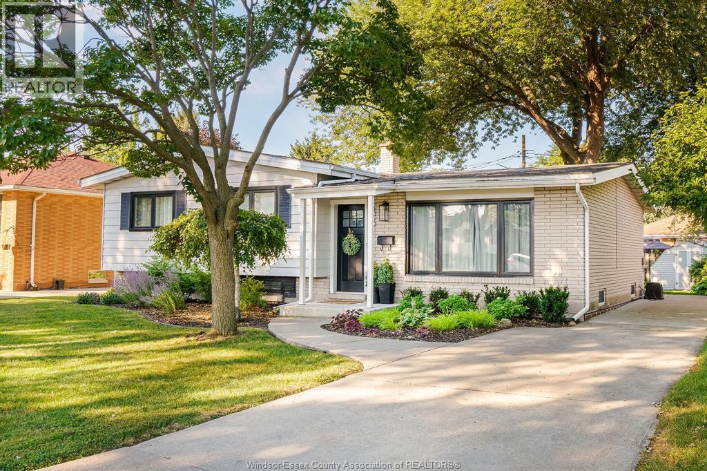 381 Watson, Windsor
