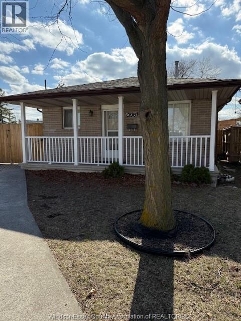 3981 BLISS, Windsor