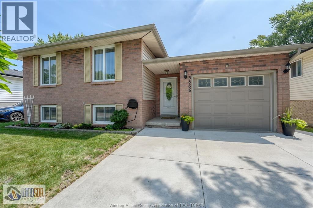 3866 BLISS, Windsor