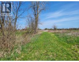 5075 12TH CONCESSION - 6