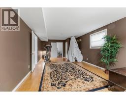 155 TERRA LOU - 29
