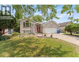 155 TERRA LOU - 3