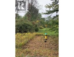 V/L BRUSH SIDE ROAD - 3
