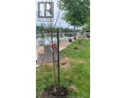 19085 BLUE WATER AVENUE - 32