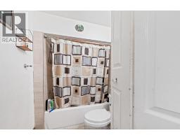 895 Pillette - 16