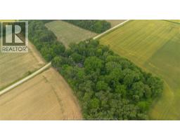 19781 DILLION ROAD - 47