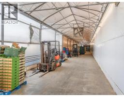 293 TALBOT STREET - 17