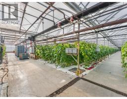 293 TALBOT STREET - 20