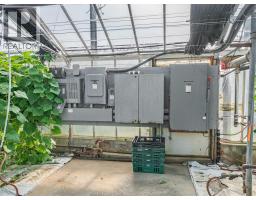 293 TALBOT STREET - 9