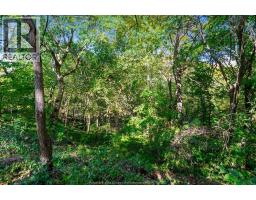 1126 Campbell LANE - 44