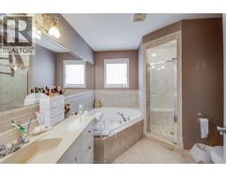 500 CLYDESDALE - 21
