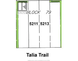 5211 TALIA TRAIL - 21