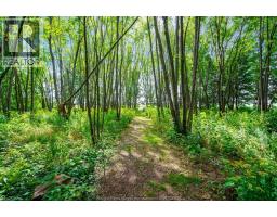 863 Road 6 East - 41