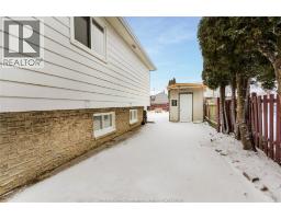 7 SATINWOOD - 28