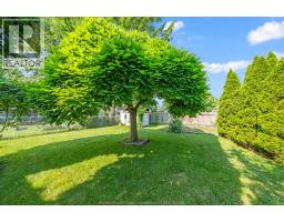 3343 HEMLOCK - 14