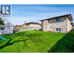 237 Murray STREET - 44