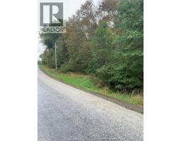 V/L BRUSH SIDE ROAD - 2